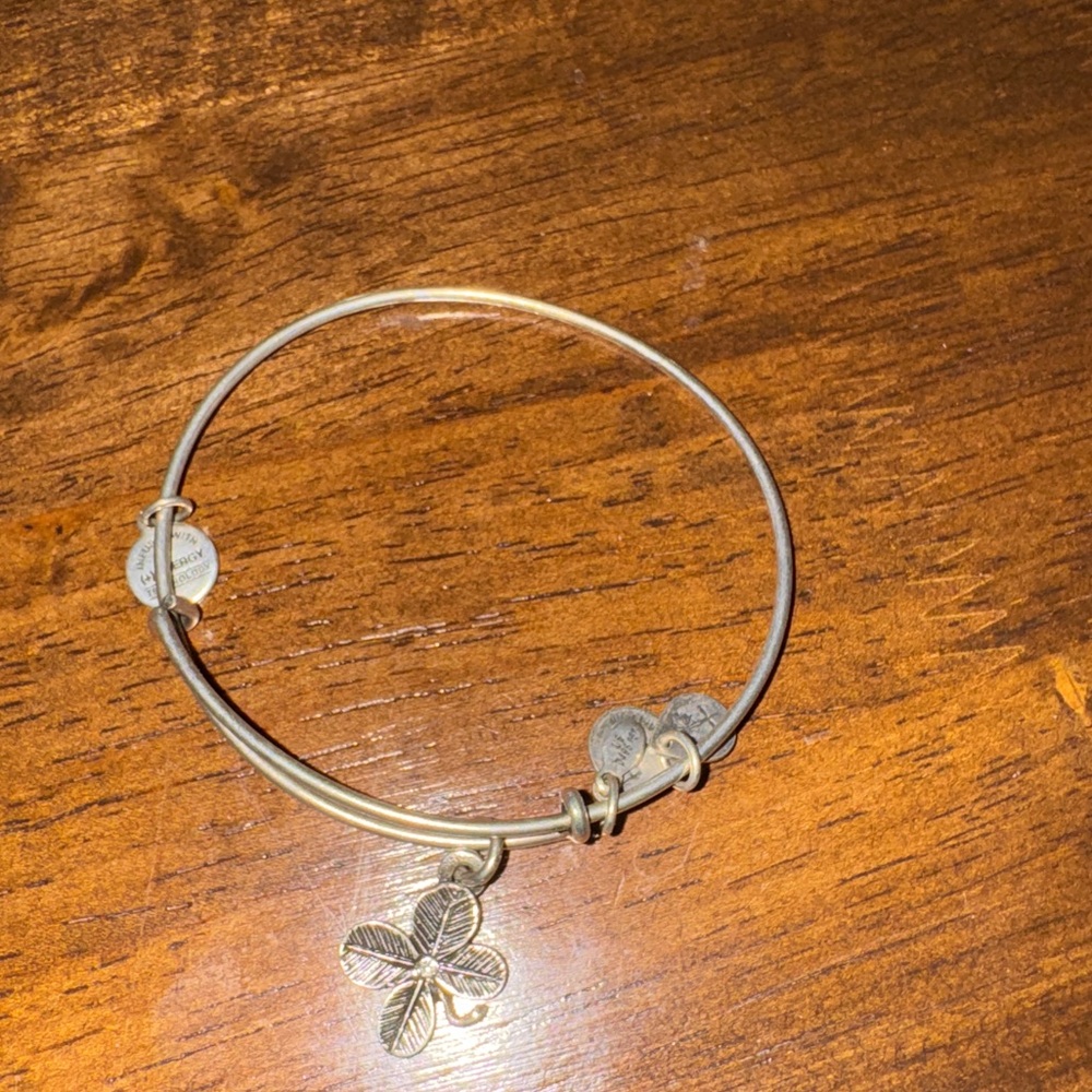 ✨5/$15 Alex & Ani bracelet